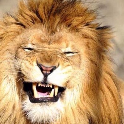 JEC1916's profile picture. No DM’s please.