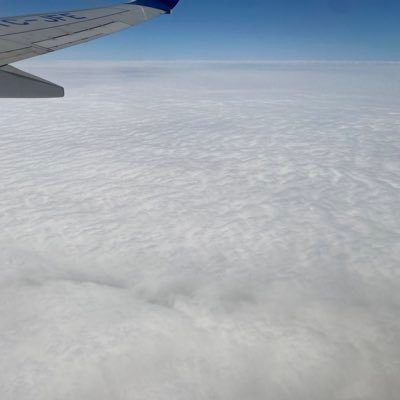 Peceax's profile picture. ..