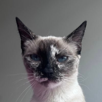 DrPeppersWorld's profile picture. stinky kitten