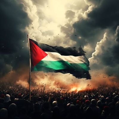 nayel10681715's profile picture. 