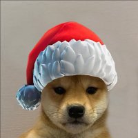Juice 🧃 (@juicecryptic) 's Twitter Profile