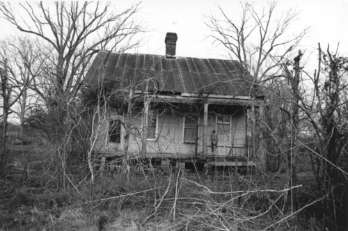 TreysPhotos's profile picture. Photographer