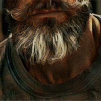 fediroca (@fediroca) 's Twitter Profile Photo fediroca (@fediroca) 's Twitter Profile Photo
