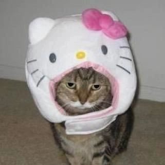 ko6880704's profile picture. あのデカ女です