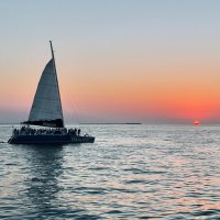 Nilanshu Sharma (@neelanshu08) 's Twitter Profile