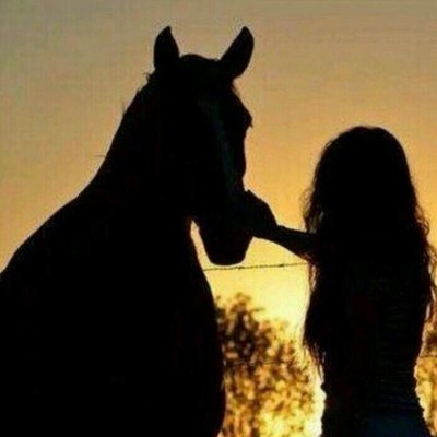 Monkeymike1341's profile picture. 