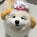 引き子👦🏻 (@butanukikun_) Twitter profile photo 引き子👦🏻 (@butanukikun_) Twitter profile photo