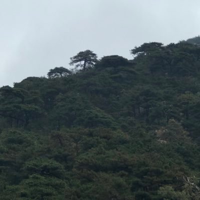 rizhqsjc's profile picture. 有时间没钱，不能身临其境，费劲来此看看世界风光。发发牢骚讲讲不如意，水平有限生活还在继续