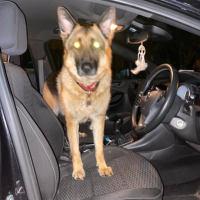 mustangsallins's profile picture. hands on my knees ijbolina jolie