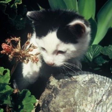 bhwel56's profile picture. 