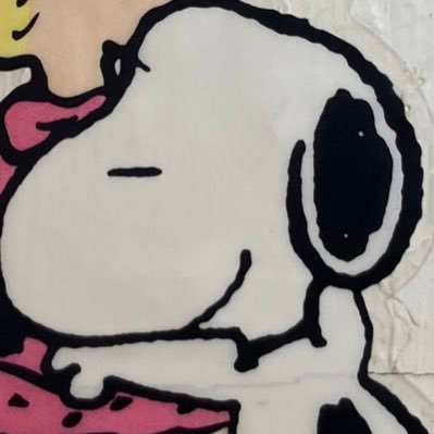 92Haruka29's profile picture. ポケモンGO活 してます〜 ワンピカもしてます〜  最近、ホロライブにハマった人です〜