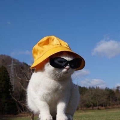 kawanatengo666's profile picture. 🍀