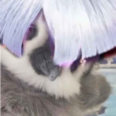 penguinさんのプロフィール画像