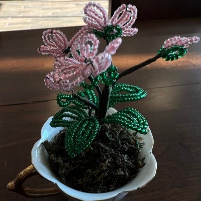 aliさんのプロフィール画像