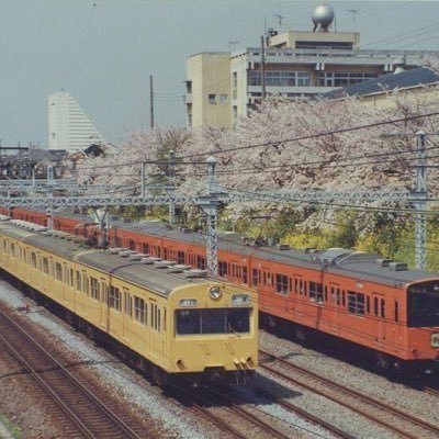 savesakura's profile picture. 🌸東中野駅西口の桜並木を守る会のアカウントです🌸 #東中野の桜を守ろう