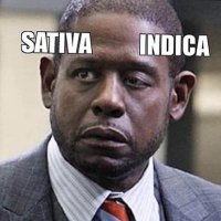 P.D.= Proud Deplorable (@gunbuildr) 's Twitter Profile
