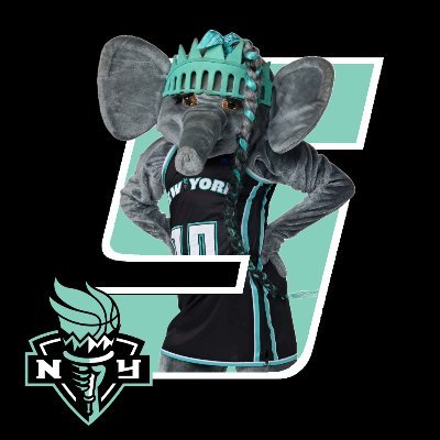 SSN- New York Liberty Profile