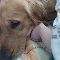 Terri Smith (@smithsm69095729) 's Twitter Profile