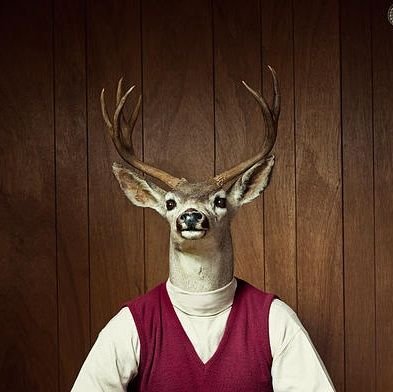 dardeerdor's profile picture. 🦌