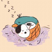 snopy (@snoopynextdoor) 's Twitter Profile