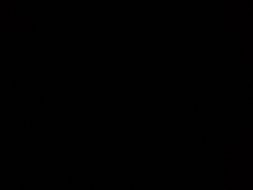 mtdamn's profile picture. inkpot