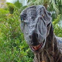 MrFrankのUSJセレクト (@mrfrankusj) Twitter profile photo