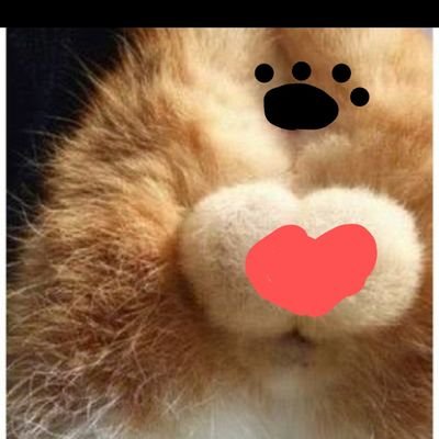 植物・動物・海やビーチコーミング・アニメや歌・料理が大好きなアイコンがモロ出しニャン玉だったものです😭
毒親(私の母親)・虐待サバイバー・サレ妻