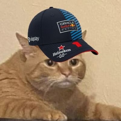 the standard is a man in a red bull with a dedication to his red bull shirt and cap and that one guy who sleeps, eats and breathes ferrari | kr7