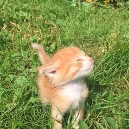 umaさんのプロフィール画像