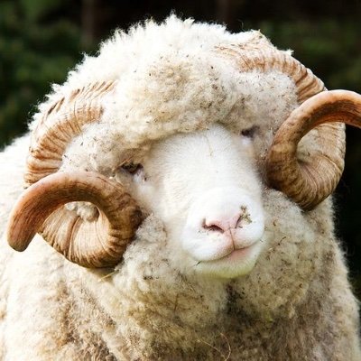 XxDeath_ProofxX's profile picture. 🔪He/It/Hymn/They/She🔪

Hot bass player.

Your fave girl ever ;)