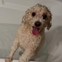 Truth Hurts (@truthhurts02160) 's Twitter Profile