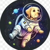RocketLabrador (@rocketlabrador) 's Twitter Profile