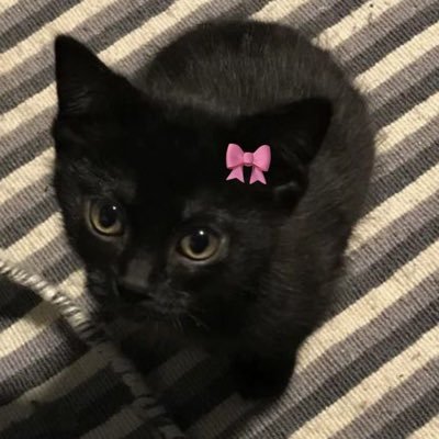 sweettyos's profile picture. 