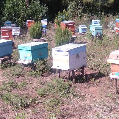 mi25458's profile picture. 