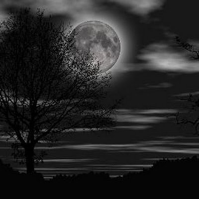 EarthsSeven's profile picture. 