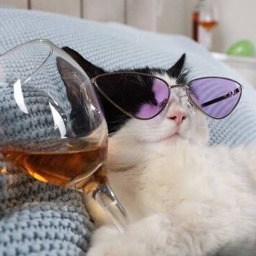 Maffsyy's profile picture. I don’t tweet