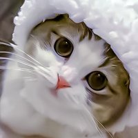 CIVIL ENGINEERING COMMISSIONS || MATH || STRUCT (@polyglot_mr) 's Twitter Profile