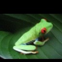 mike warman - @323745 - Twitter