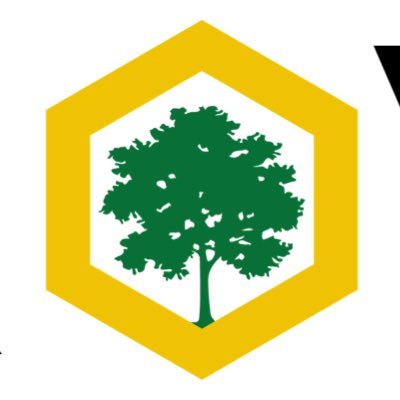 provenbkeeping's profile picture. Your Trusted Hive Expert: Beekeeping Supplies, Honest Reviews, and Essential Beekeeping Tips