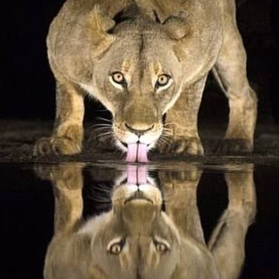 Crypto Enthusiast== Airdrop gem==📚Book lover❤️Memecoin Marzi.
🫂Friend and a Brother