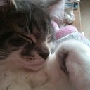 Joanna Johns - @Lildozey - Twitter