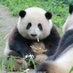 @nicole.fah99 (@fah99nicole) Twitter profile photo @nicole.fah99 (@fah99nicole) Twitter profile photo