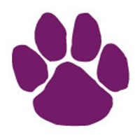 Purple Step (@purple_step) 's Twitter Profile