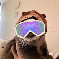 Ubi Ego💰the DAWG (@farmiykay) 's Twitter Profile Photo Ubi Ego💰the DAWG (@farmiykay) 's Twitter Profile Photo
