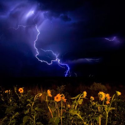 JennaWilso26620's profile picture. 