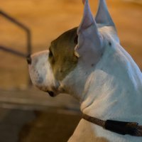 W_rcan243 (@ugianna50232) 's Twitter Profile
