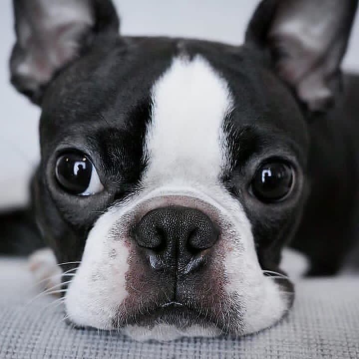 j798RJF42SY9J's profile picture. "Stay positive, work hard."