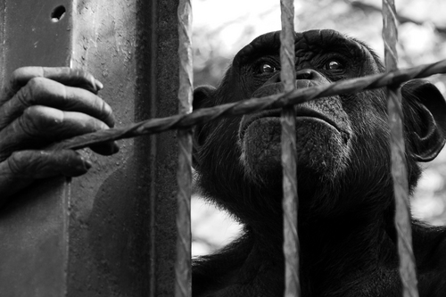 THEsimonhewitt's profile picture. Gentleman of advertising, husband and father, Streatham resident, aspiring short film maker and sometimes photographer.