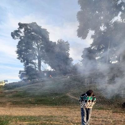 burhahaan's profile picture. 21 | ml/ai | building stuffs and learning all together