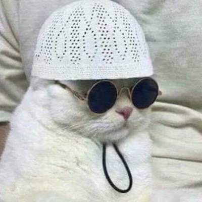 Hypervisor69's profile picture. 